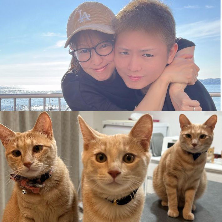 夫婦と保護猫3匹で暮らす