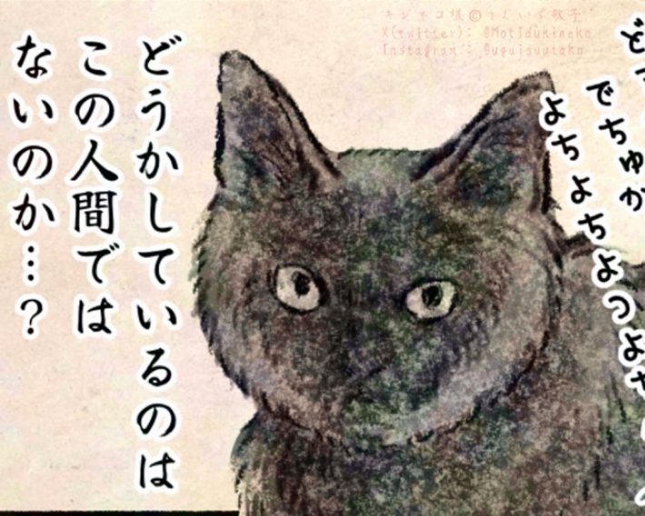猫漫画