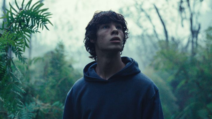 映画『動物界』