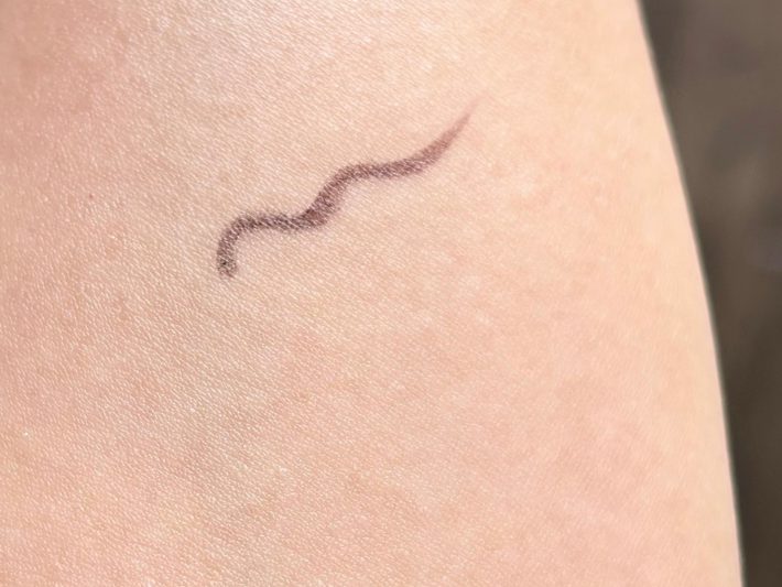 プレピタライナー　セザンヌ