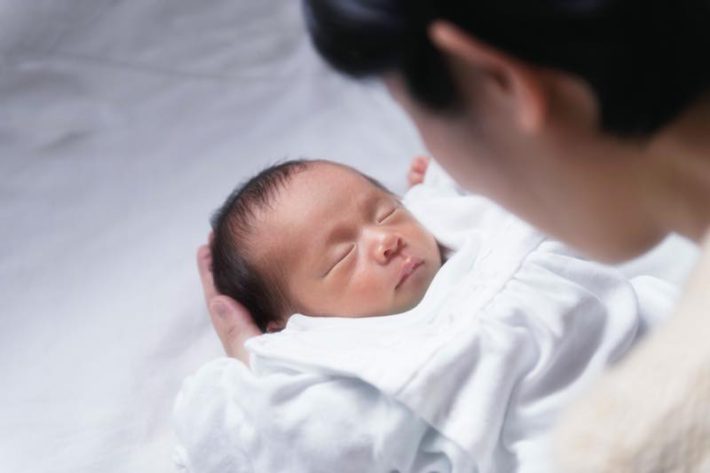 ライオマルチ2世沼202411