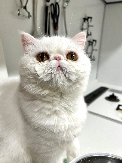 水分補給後は頬がビチョビチョに…