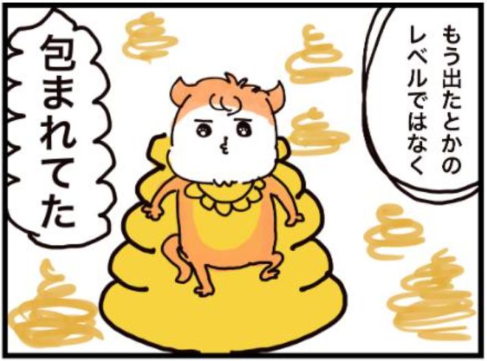 超特大うんちをした赤ちゃんネコ