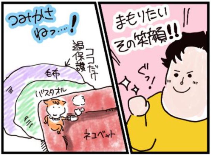 赤ちゃんネコを落下から守りたい