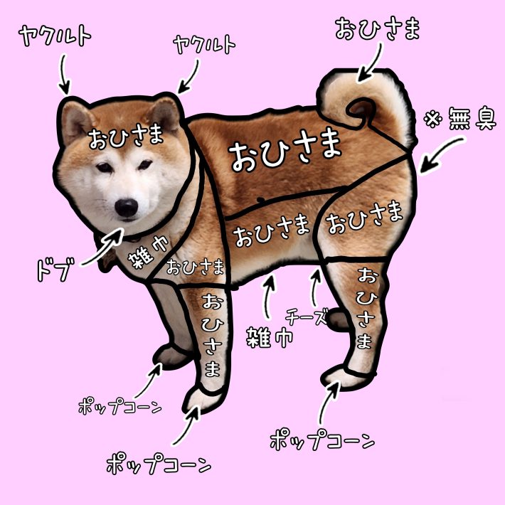 放たれるにおいは、部位によっていろいろある