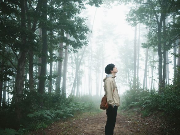 映画『君の忘れ方』