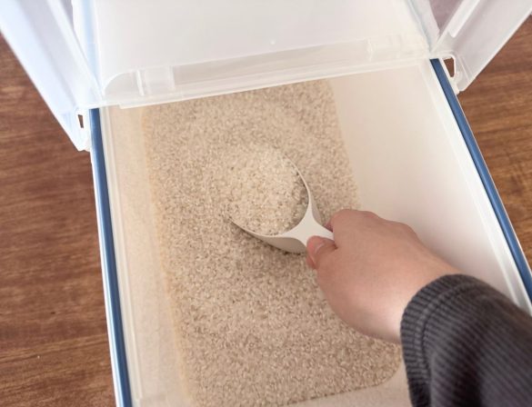 持ち手が長くお米がとてもすくいやすい