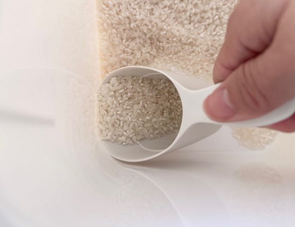 カップの先端部分が薄く、底のお米がすくいやすい