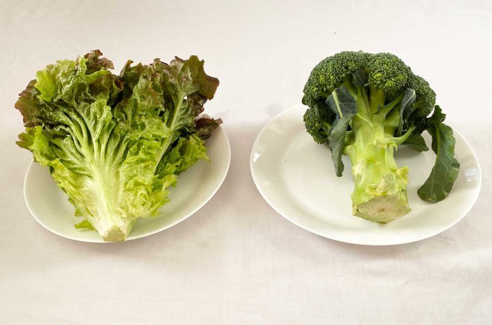 ダイソー「鮮度保持ストックバッグ」　検証野菜