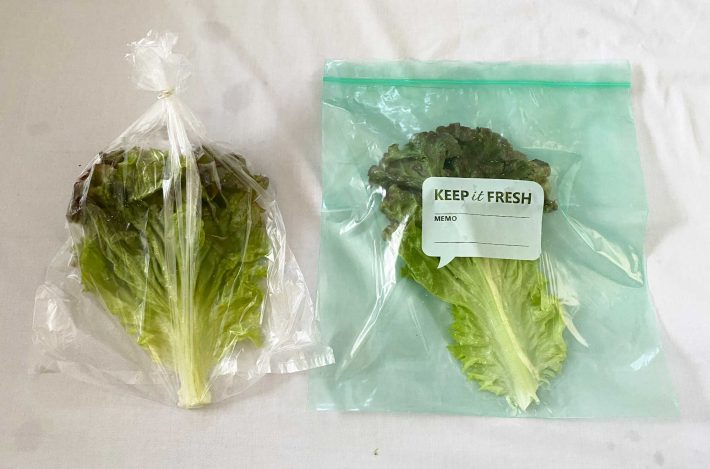 ダイソー「鮮度保持ストックバッグ」　検証野菜