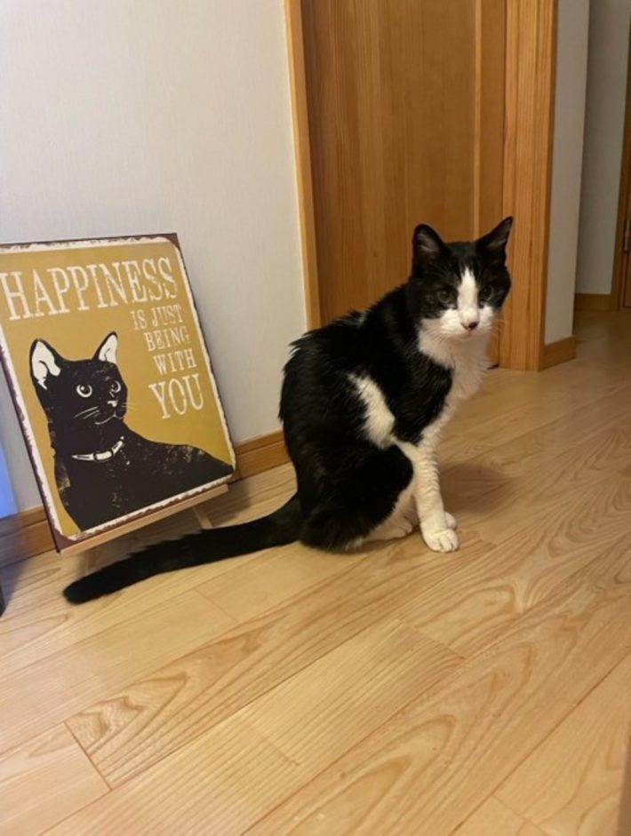 キャリー家マメ