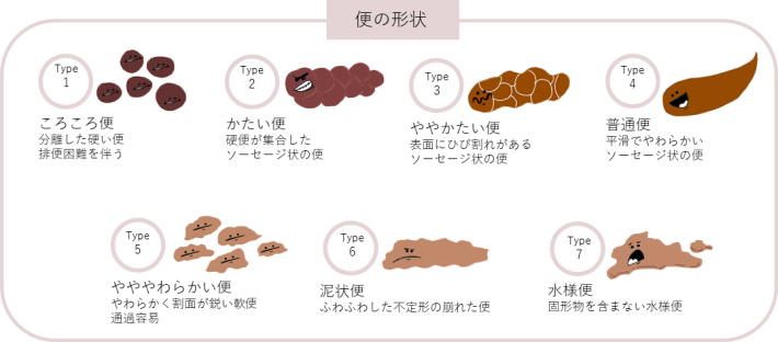 ブリストルスケール