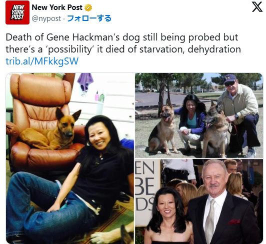 愛犬3匹と暮らしていたハックマンさんとアラカワさん