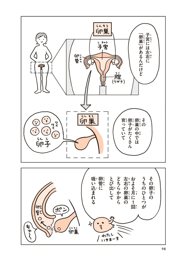 『こどもせいきょういくはじめます』