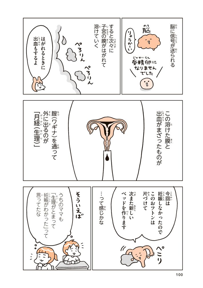 『こどもせいきょういくはじめます』