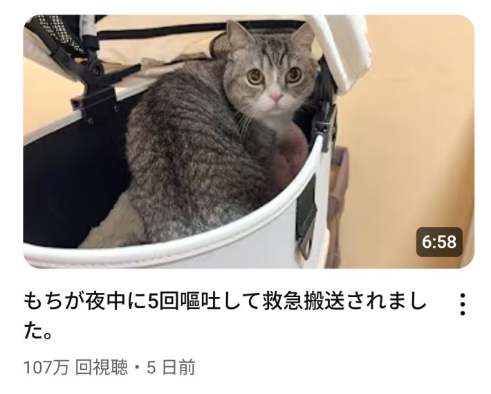 （画像：YouTube『もちまる日記』より）