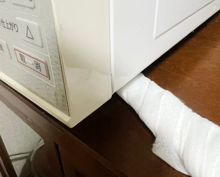 「ワイパーシートでお掃除（マルチタイプ）」110円/税込