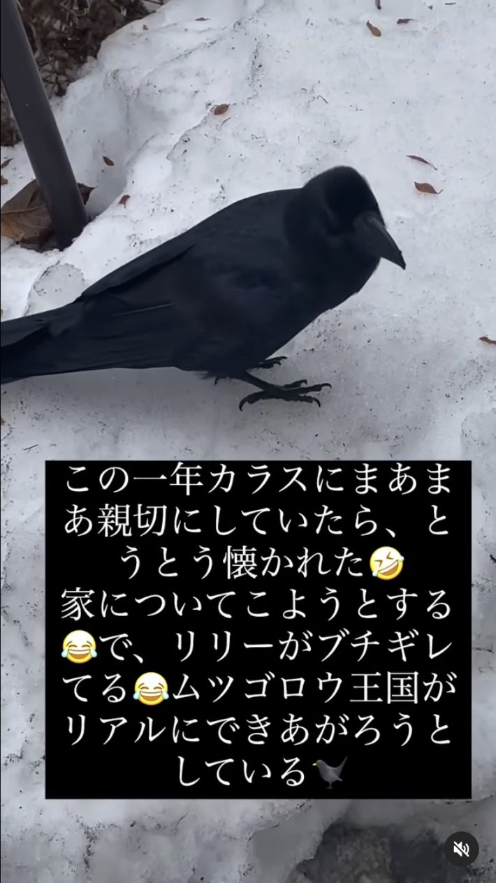 リール動画のキャプチャ画像