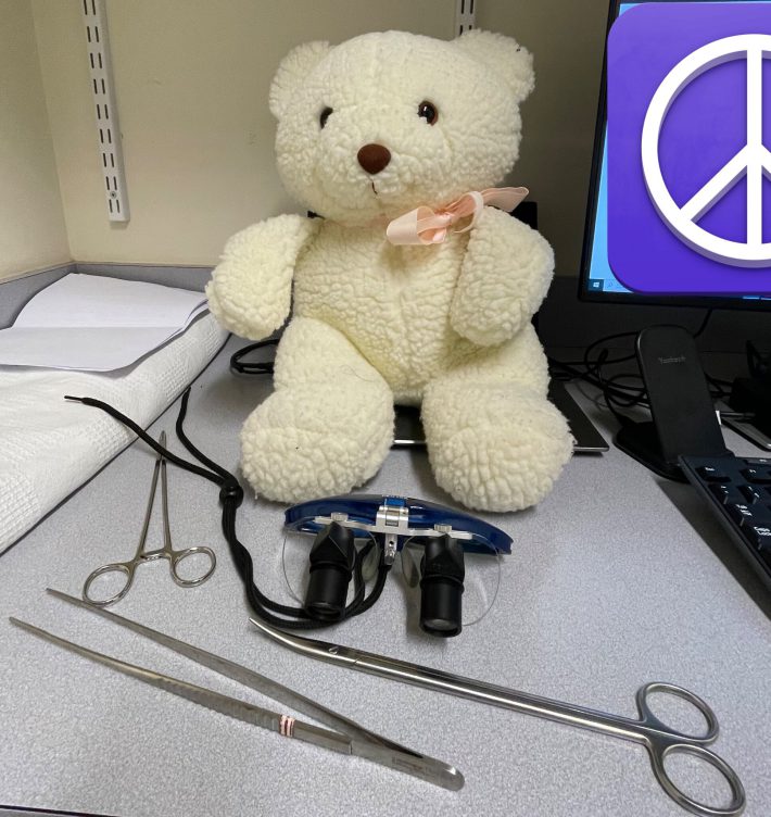 手術直前、不安げな表情のクマちゃん