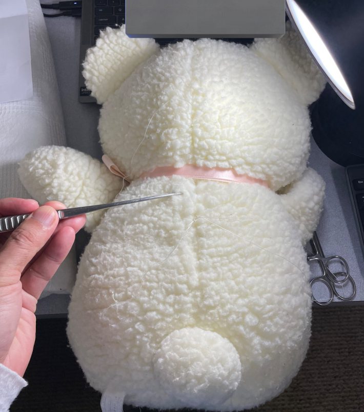 手術中のクマちゃん