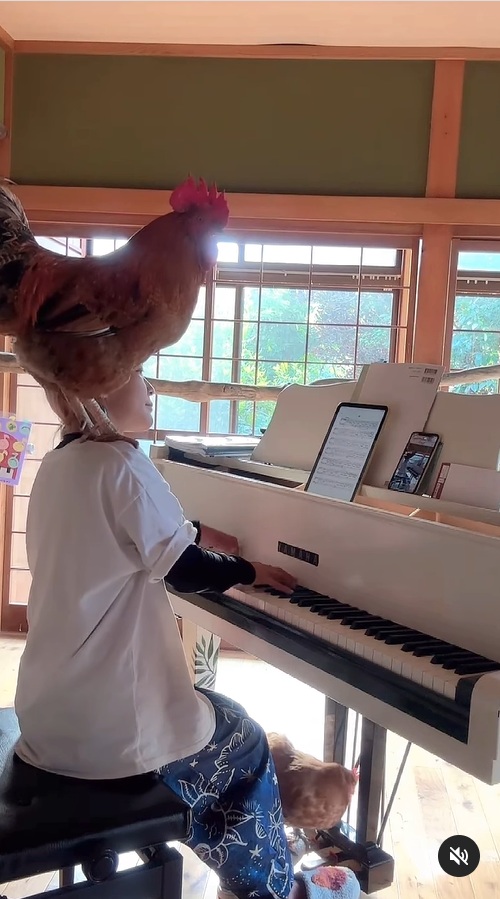 ピアニスト・ぴあやのさん