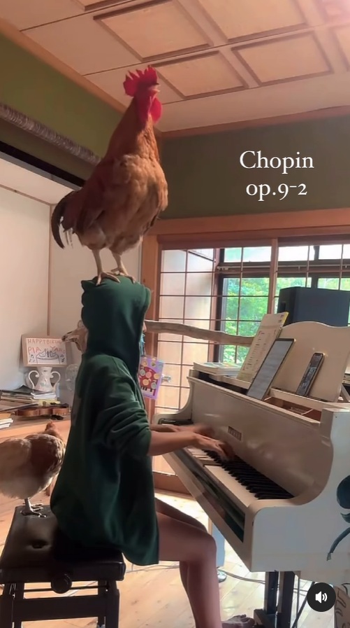 ピアニスト・ぴあやのさん