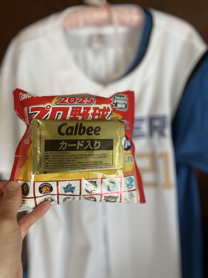 プロ野球チップス