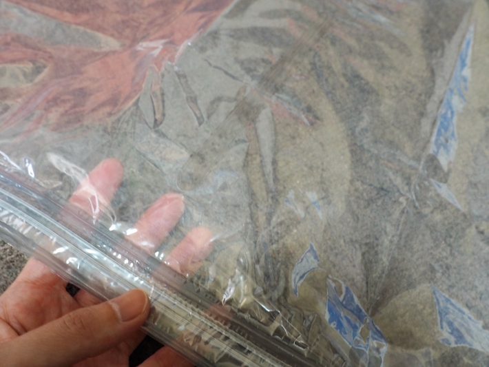 ダニ対策吊るせる衣類圧縮袋