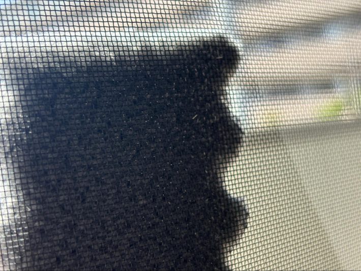 ダイソー　フィルター汚れスッキリスポンジ