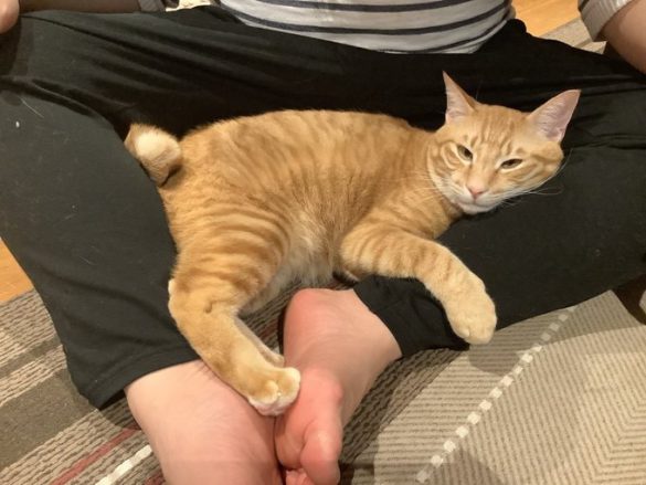 ママのお膝が大好き