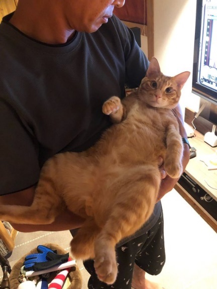 赤ちゃん抱っこが大好きだった