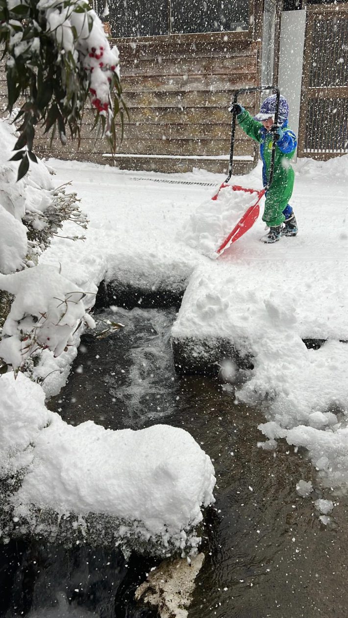 冬には雪が積もる