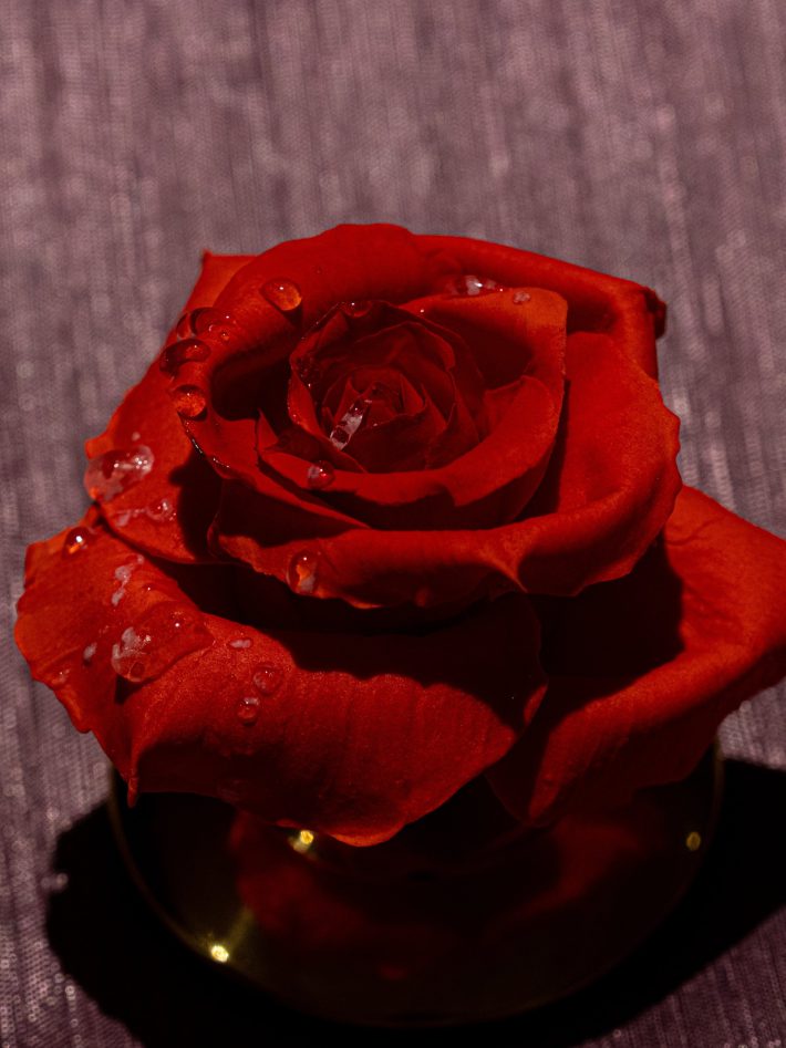 バラは砂糖、雨粒は飴粒で再現