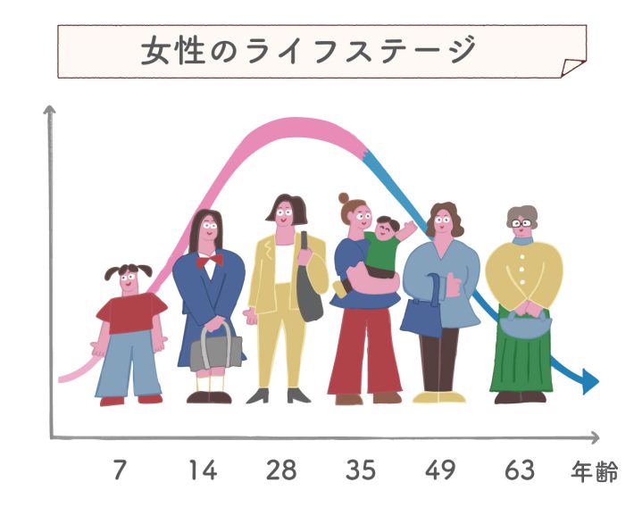 女性のライフステージ
