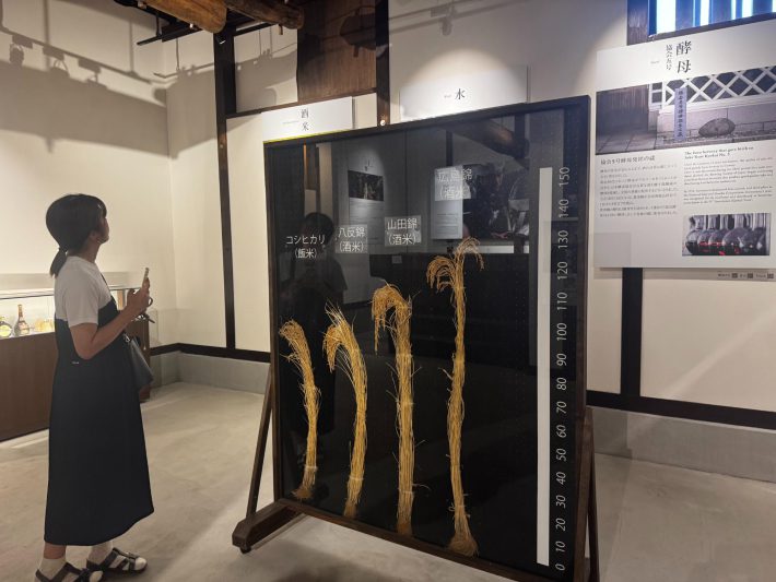 賀茂鶴見学エリア