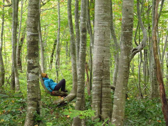 リラックスタイム