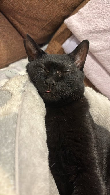 寝ているりょうちゃん