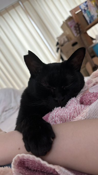 一緒のベッドで眠ってくれるほど懐いてくれた