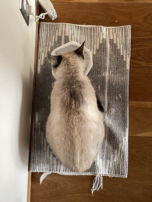 現在の背中の焦げ