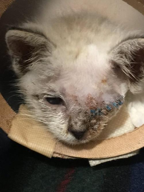 術後すぐの頃。右目の視力には問題がなく、物が見えている