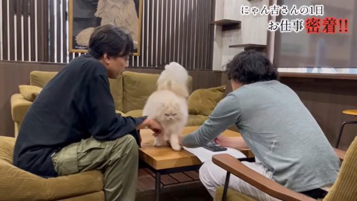 来客対応というか、打ち合わせの邪魔をしているようにも見えるが……