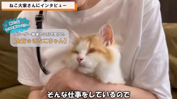 ブリーダー崩壊から引き出した全盲の女の子・きなこちゃん（2歳）。同社の最年少だ