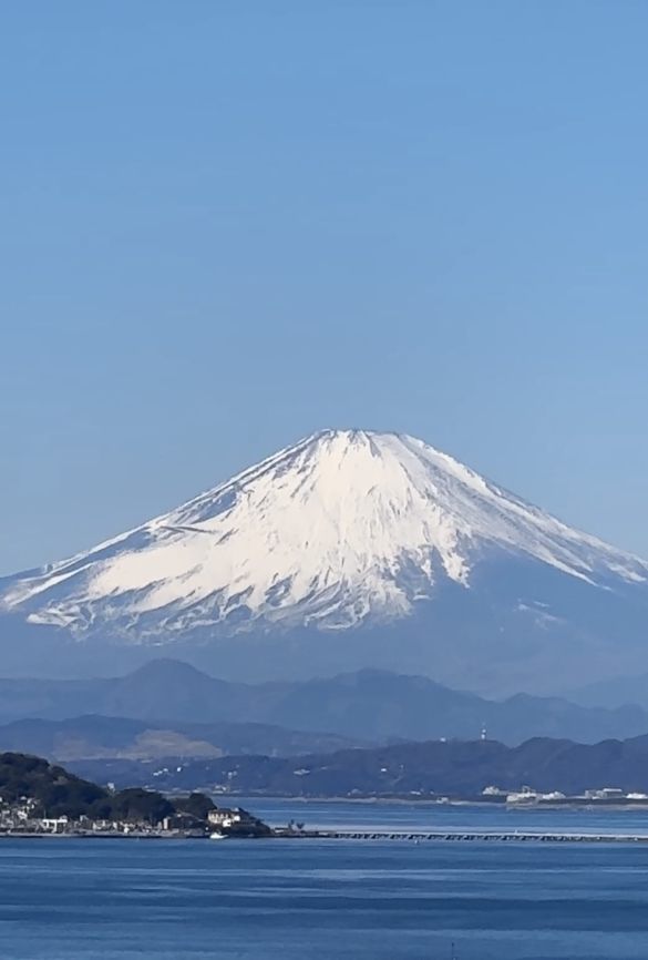 折原みとさんインタビュー