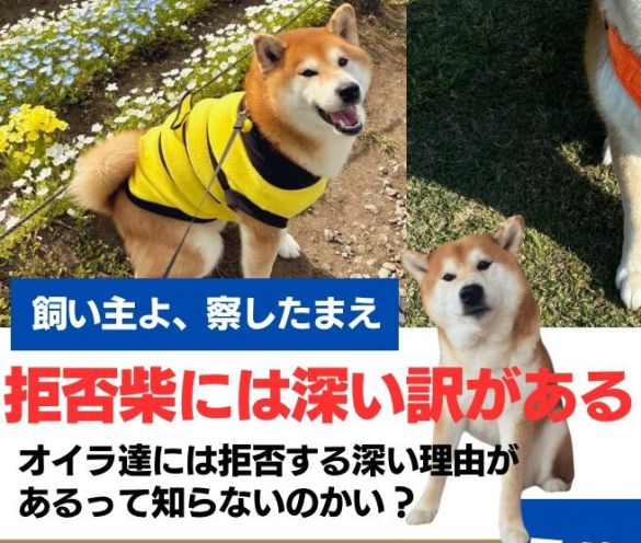 「飼い主よ、察したまえ」という呼びかけにドキッとする