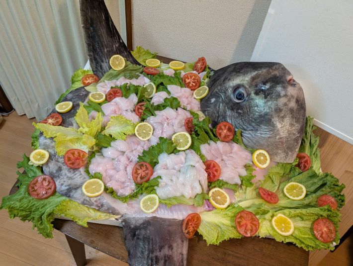 2025年4月につくった「マンボウの姿造り」