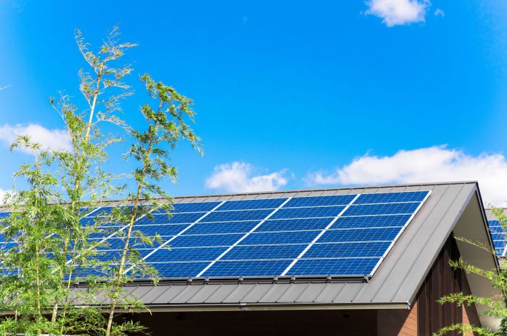 AdobeStock_254065840