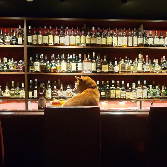 お客さん側の席に座っているのは、あくまで撮影用