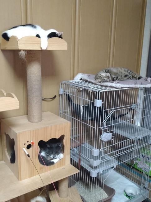 思い思いに過ごしている