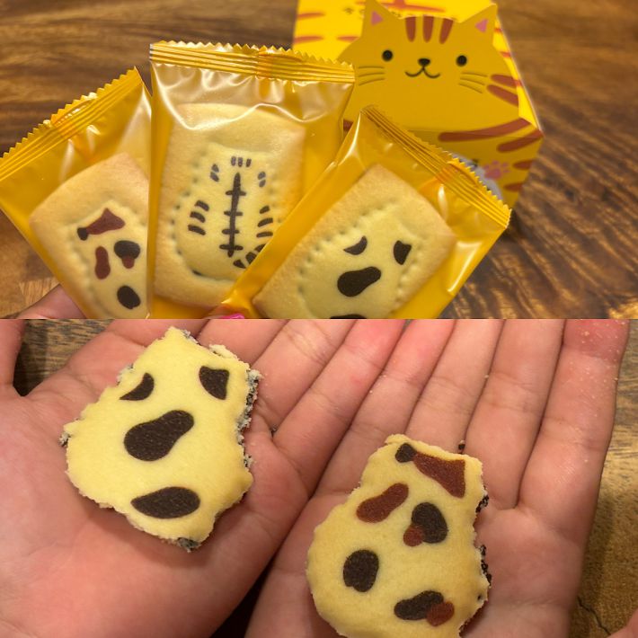 今日のねこもよう　ショコラサンドクッキー