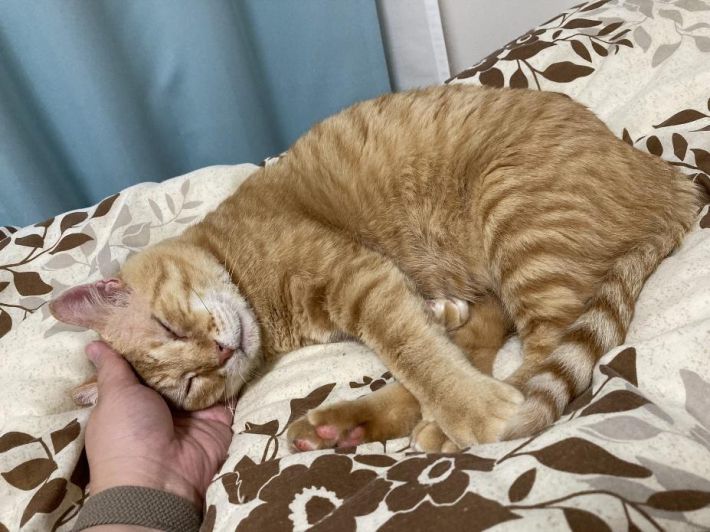 安心して眠っている